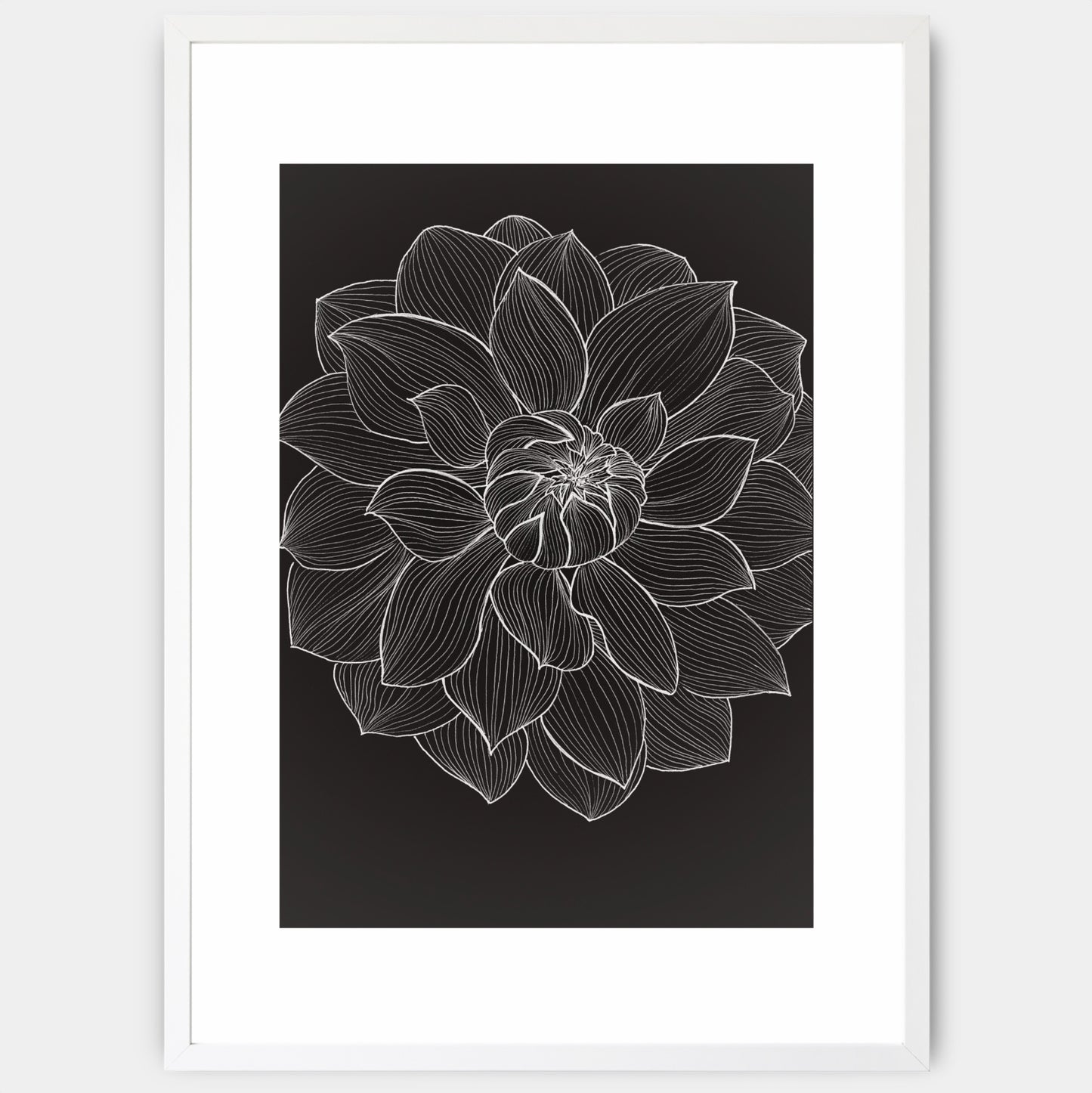 Peony poster - painting