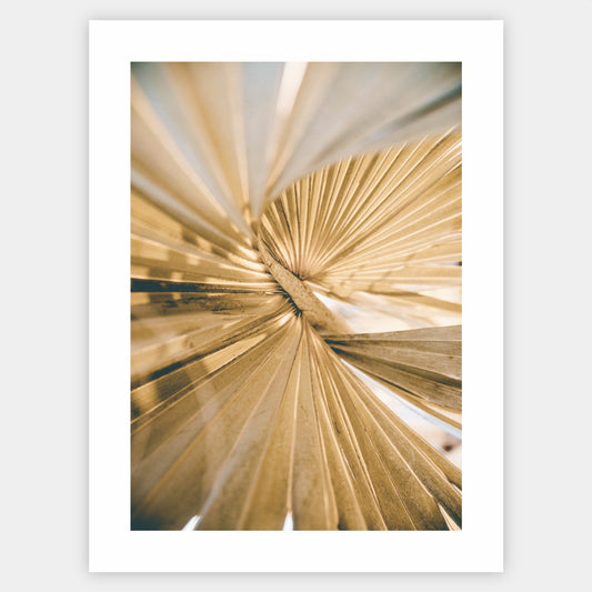 Poster with a photo of a palm leaf