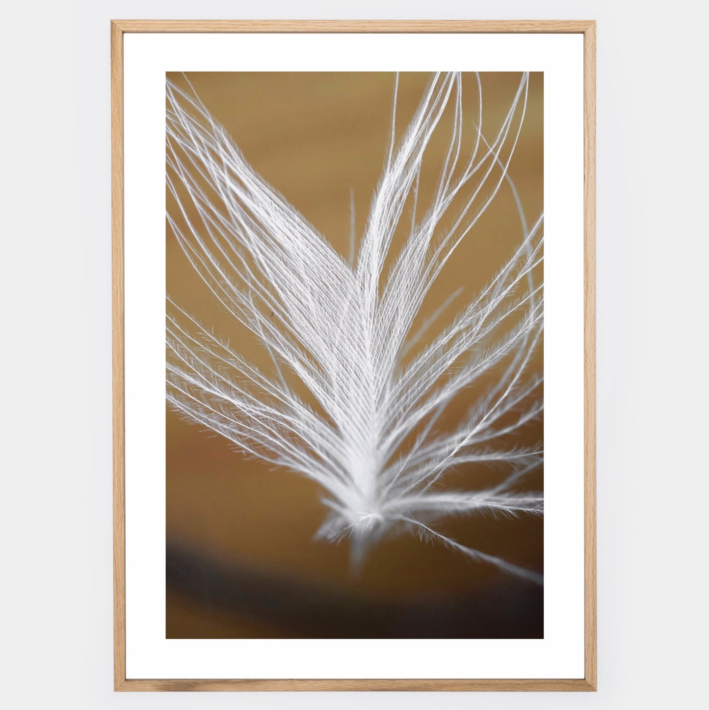 Poster with a photo of a feather on a gold background