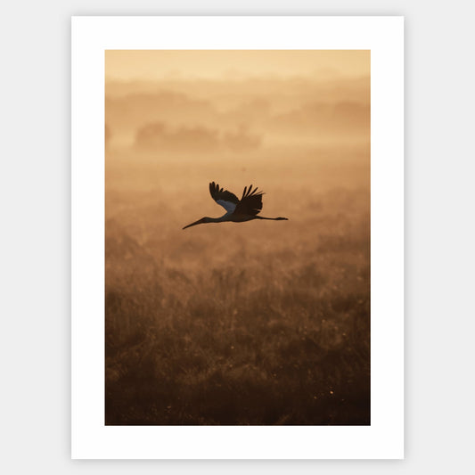 Poster with a photo of a flying bird