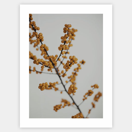 Poster with a photo of a twig
