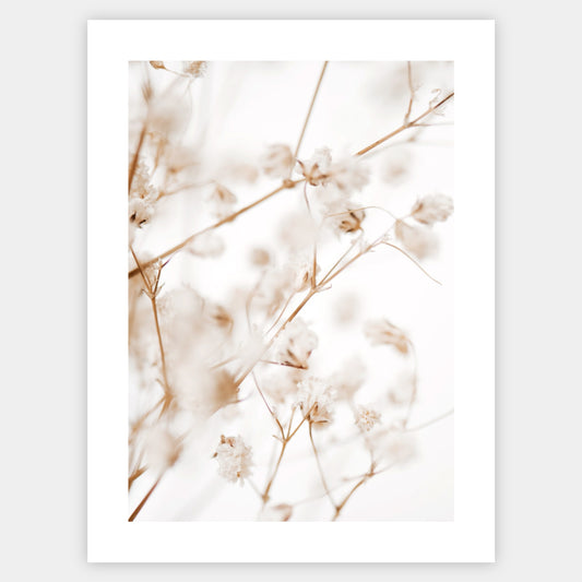 Boho poster with a photo of a delicate gypsophila