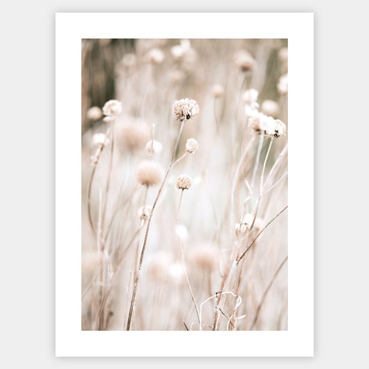 Boho poster with a photo of an autumn meadow