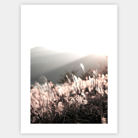 Boho poster with a photo of a sunset in nature