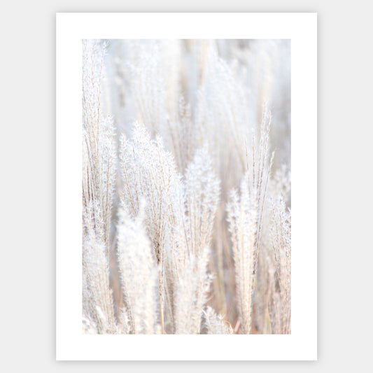 Boho poster with a photo of dry grass
