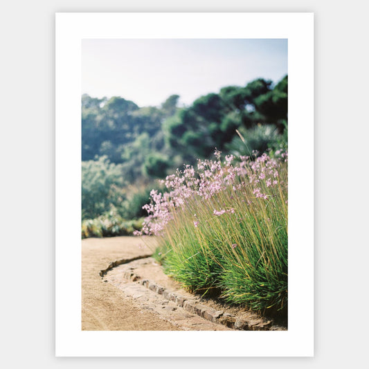 Silent Blossom Poster