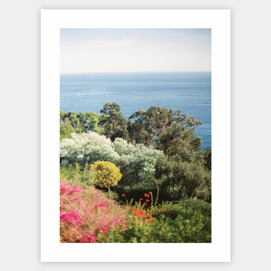 Fresh Horizon Poster