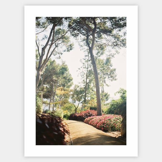 Catalan Oasis Poster