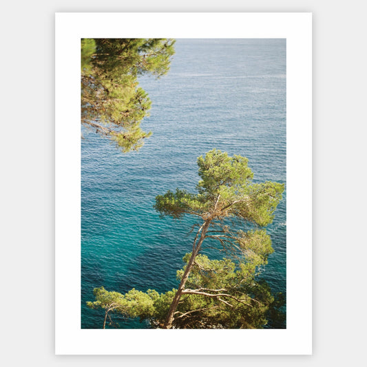 Sea Guardians poster