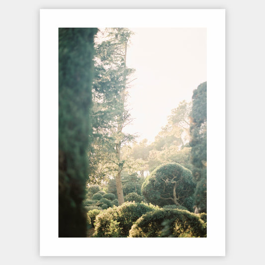 Secrets of the Cap Roig Gardens