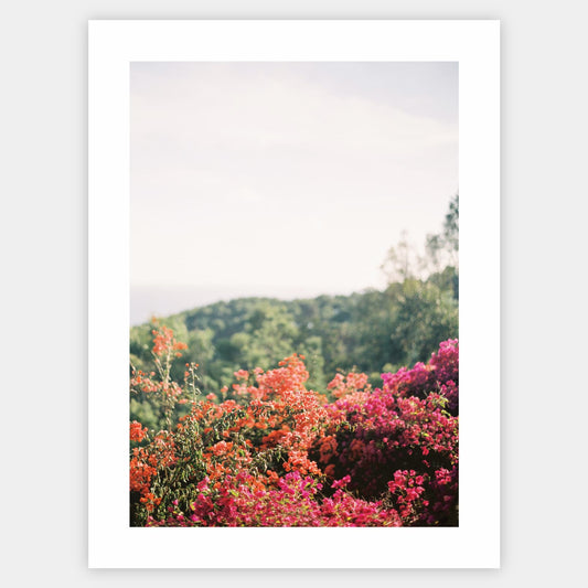Poster Among the Flowers