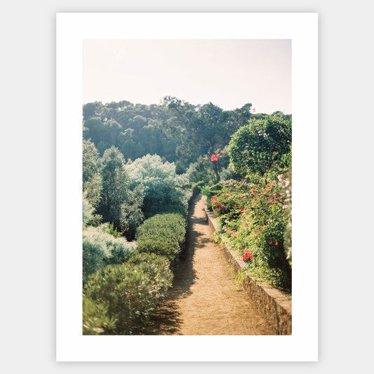 Garden of Dreams poster
