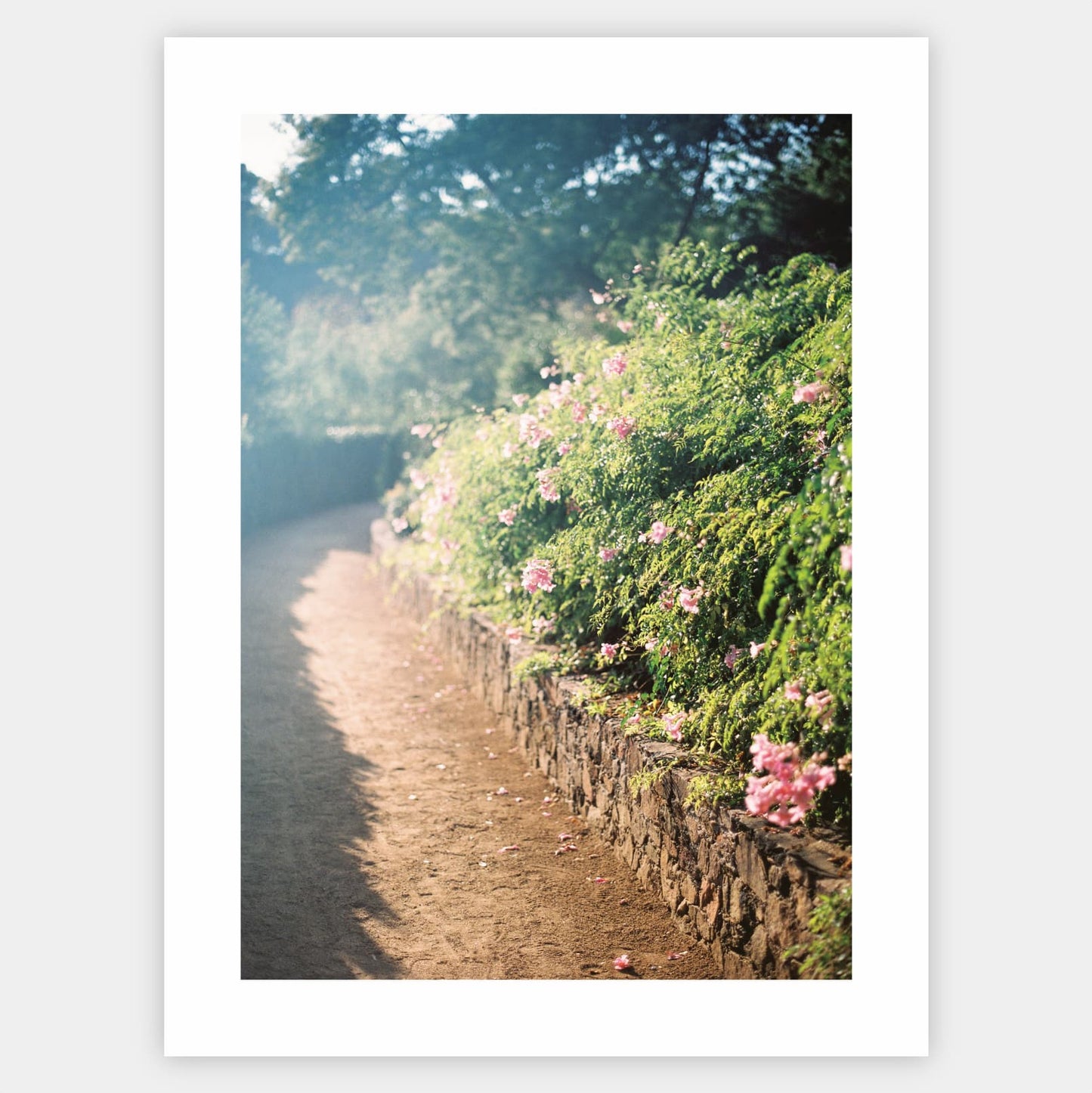 Floral Symphony Poster