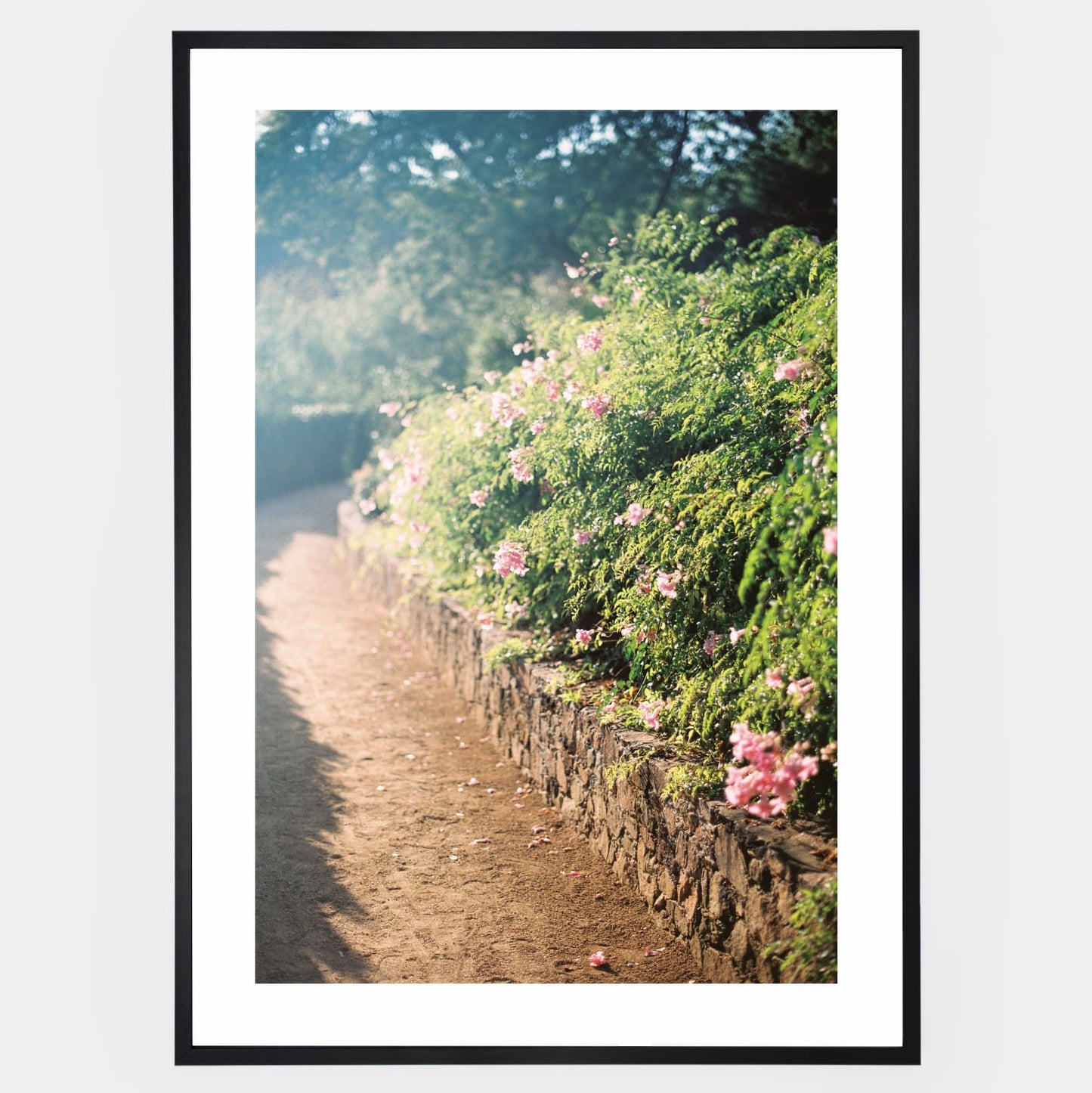 Floral Symphony Poster