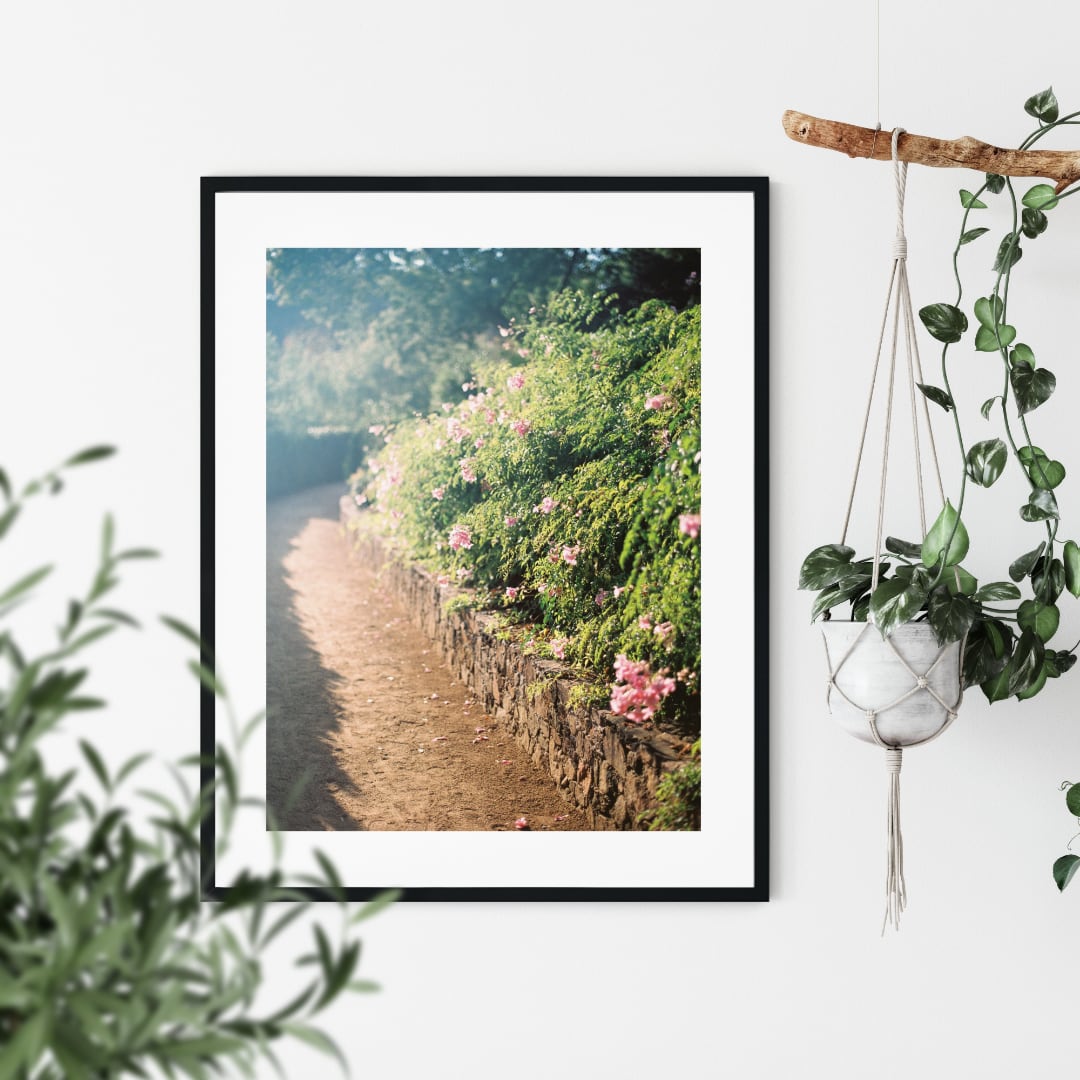 Floral Symphony Poster