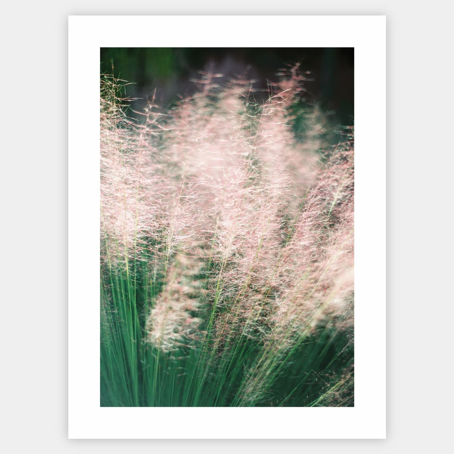 Silent Miracles poster