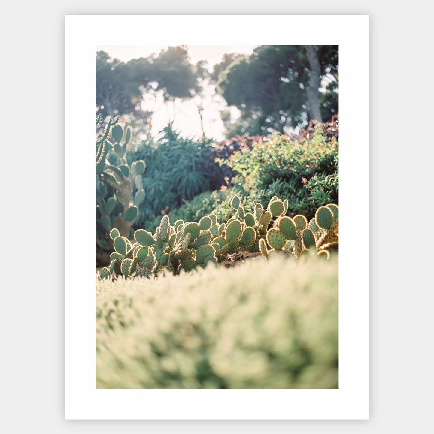 Poster Natural Paradise