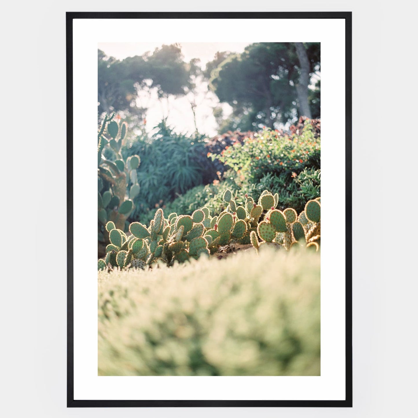 Poster Natural Paradise