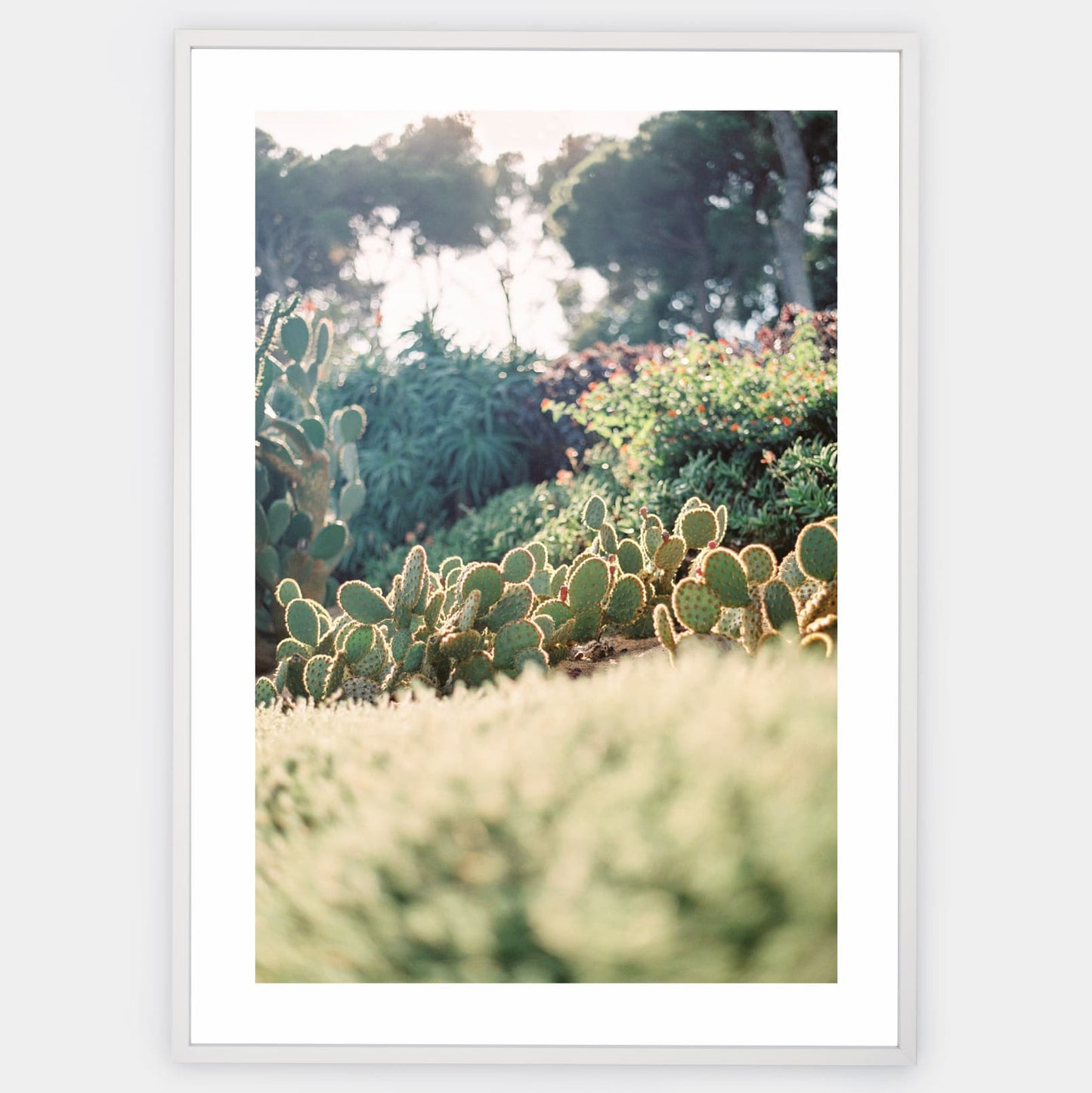 Poster Natural Paradise