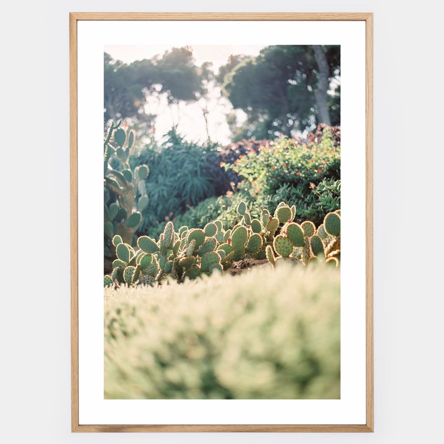 Poster Natural Paradise