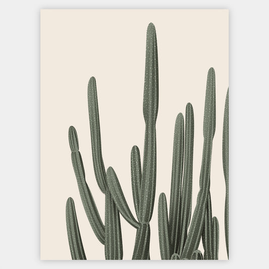 Cactus Duo 1 poster