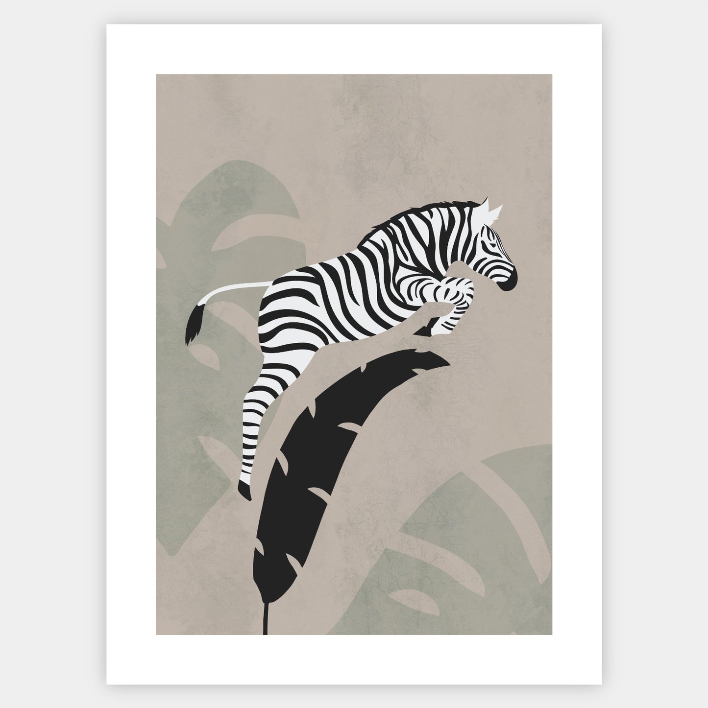 Plakát Zebra