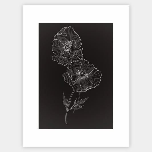 Poster Wild Poppy - painting