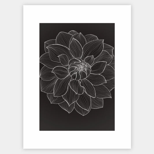 Peony poster - painting